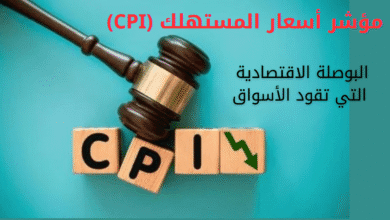 الاستثمار