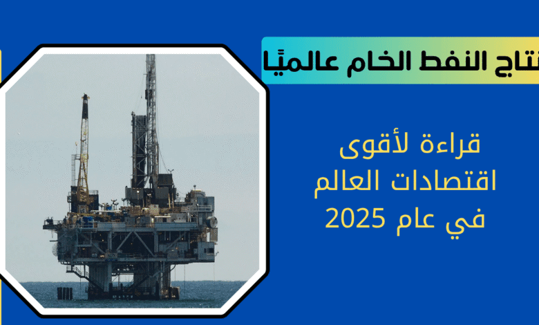 إنتاج النفط الخام عالميًا |قراءة لأقوى اقتصادات العالم في عام 2025 1 النفط الخام