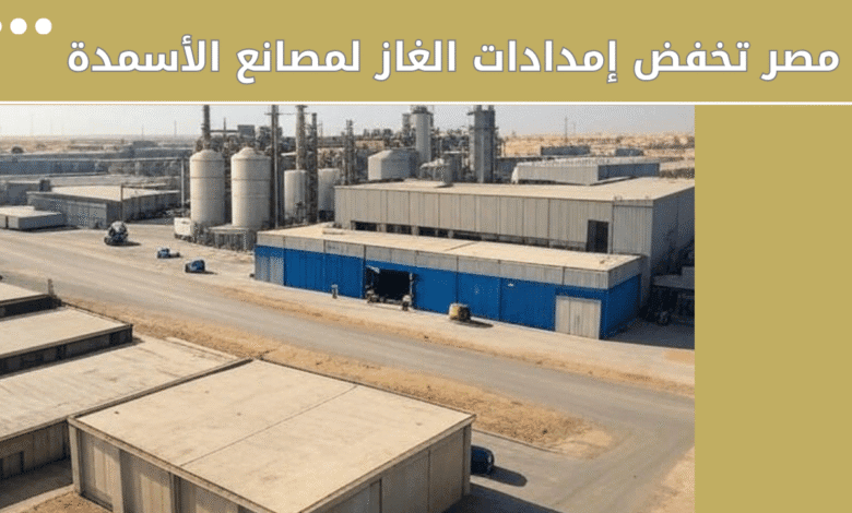 مصر تخفض إمدادات الغاز لمصانع الأسمدة لمدة 15 يوم | وخسائر فادحة في البورصة 1 إمدادات الغاز