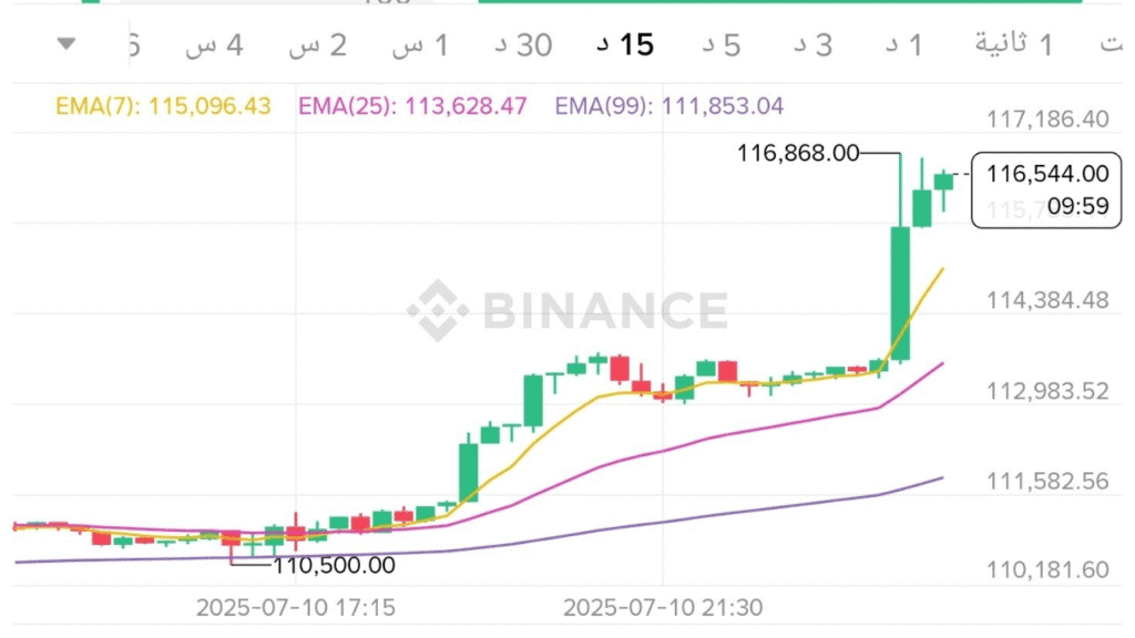 بيتكوين (BTC) يحقق أعلى قمة تاريخية 116,000$ هل يستمر الصعود 2 سعر البيتكوين