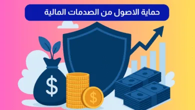 كيف تحممي أصولك من الصدمات المالية