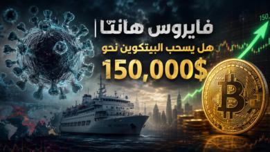 فايروس هانتا يعود هل يرتفع البيتكوين
